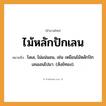 คำพังเพย: ไม้หลักปักเลน หมายถึงอะไร?, หมายถึง โลเล, ไม่แน่นอน หมายเหตุ เช่น เหมือนไม้หลักปักเลนเอนไปมา. (สังข์ทอง) ธรรมชาติ ทอง