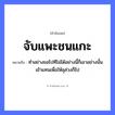 คำพังเพย: จับแพะชนแกะ หมายถึงอะไร?, หมายถึง ทำอย่างขอไปทีไม่ได้อย่างนี้ก็เอาอย่างนั้นเข้าแทนเพื่อให้ลุล่วงก็ไป คำกริยา จับ, ชน