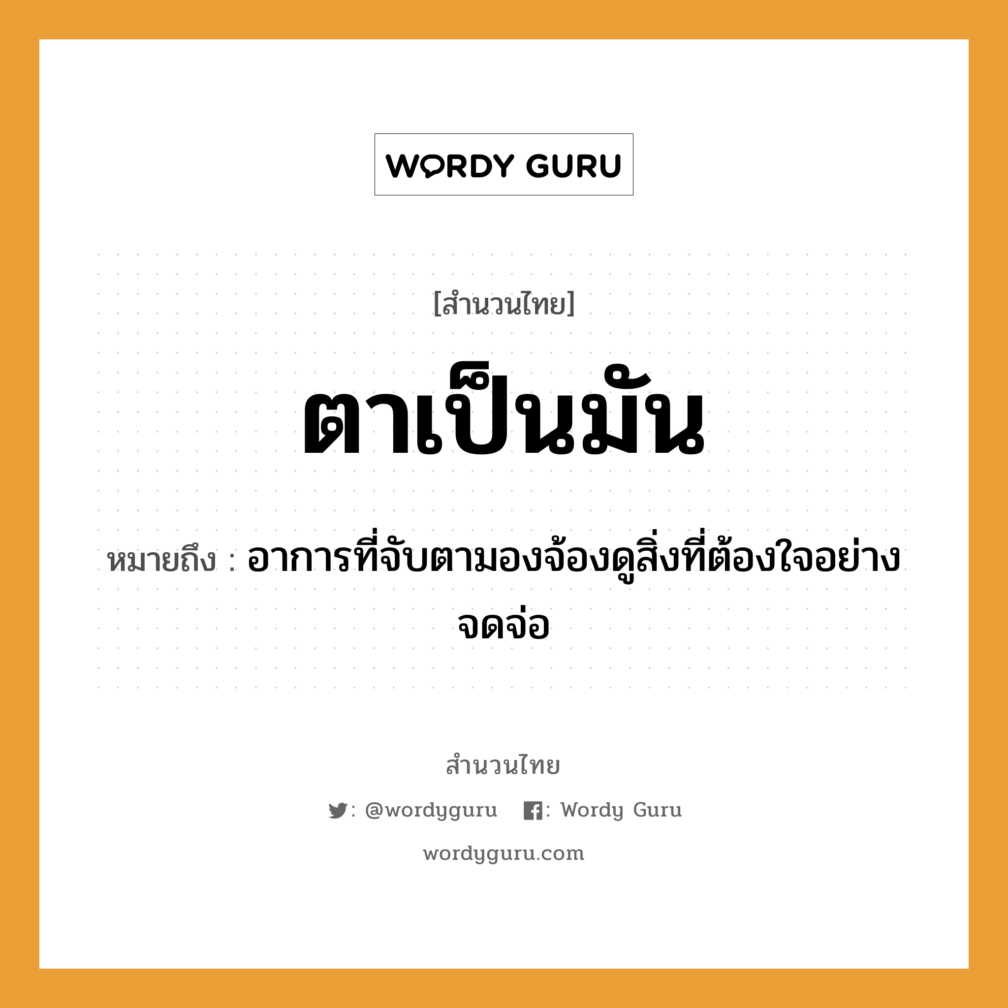 คำพังเพย: ตาเป็นมัน หมายถึงอะไร?, หมายถึง อาการที่จับตามองจ้องดูสิ่งที่ต้องใจอย่างจดจ่อ