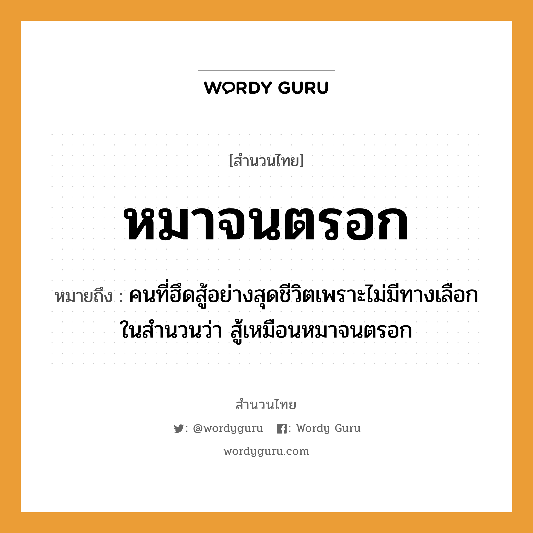 คำพังเพย: หมาจนตรอก หมายถึงอะไร?, หมายถึง คนที่ฮึดสู้อย่างสุดชีวิตเพราะไม่มีทางเลือก ในสำนวนว่า สู้เหมือนหมาจนตรอก คำนาม คน คำกริยา สู้