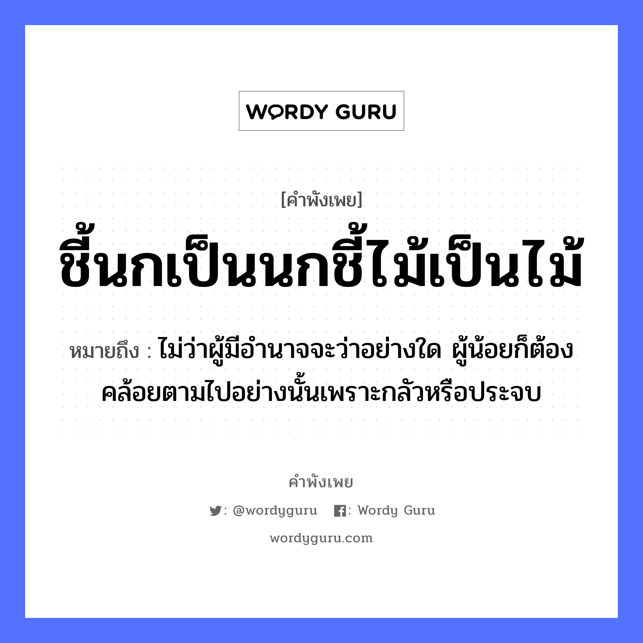 คำพังเพย: ชี้นกเป็นนกชี้ไม้เป็นไม้ หมายถึงอะไร?, หมายถึง ไม่ว่าผู้มีอํานาจจะว่าอย่างใด ผู้น้อยก็ต้องคล้อยตามไปอย่างนั้นเพราะกลัวหรือประจบ สัตว์ นก ธรรมชาติ ไม้