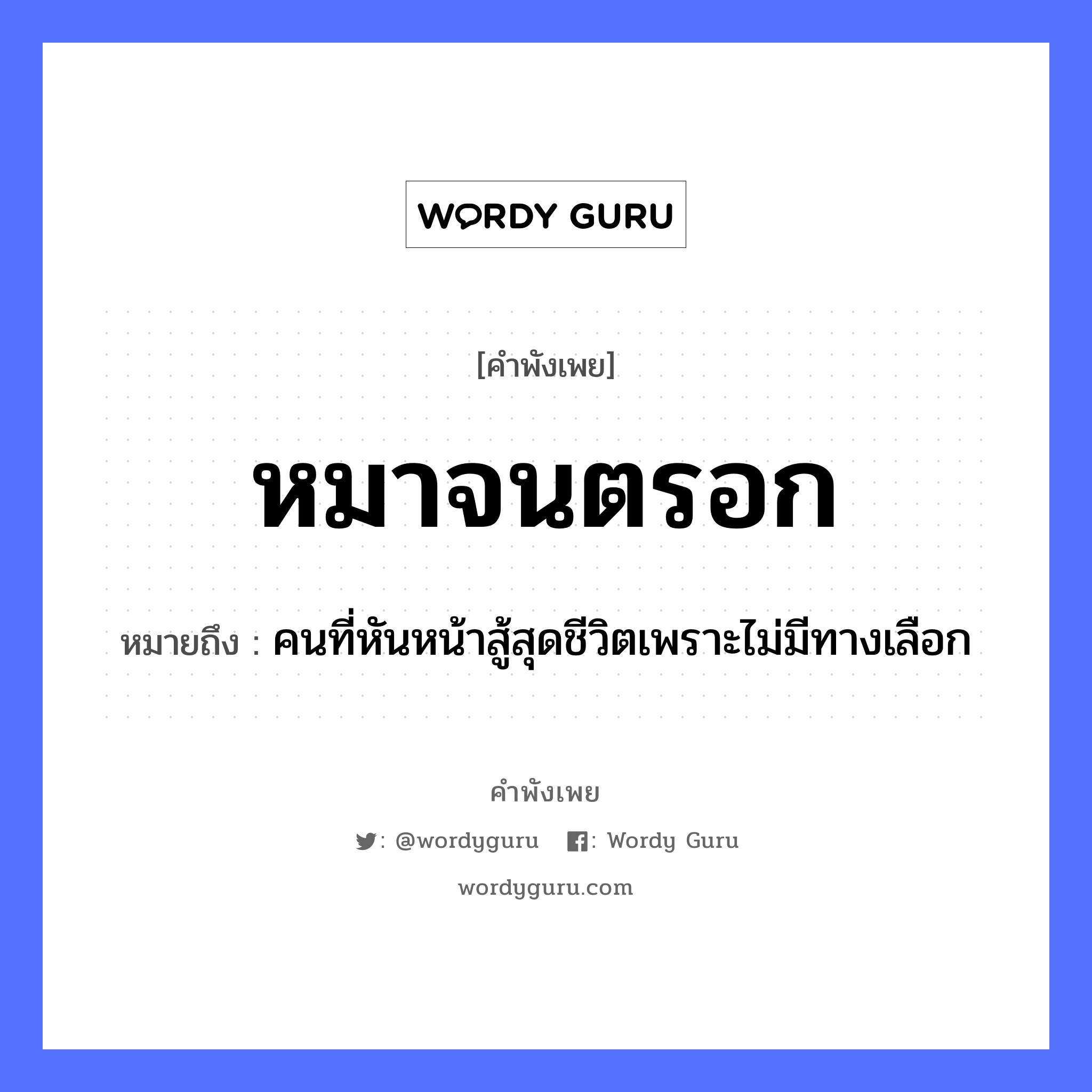 คำพังเพย: หมาจนตรอก หมายถึงอะไร?, หมายถึง คนที่หันหน้าสู้สุดชีวิตเพราะไม่มีทางเลือก สัตว์ หมา อวัยวะ หน้า คำกริยา สู้ คำนาม คน